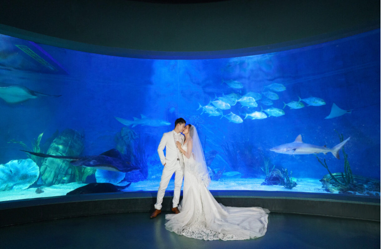 Getting married in an aquarium