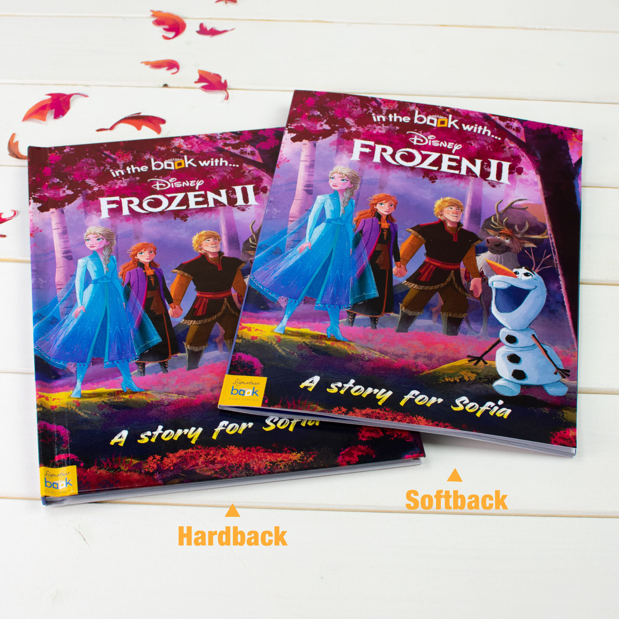 Personalised Frozen 2 Book Hardback and Softback Cover Personalised Frozen 2 Book Hardback and Softback Cover