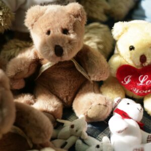 Personalised Teddy Bears